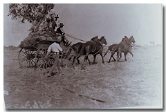 A horse team hard at work